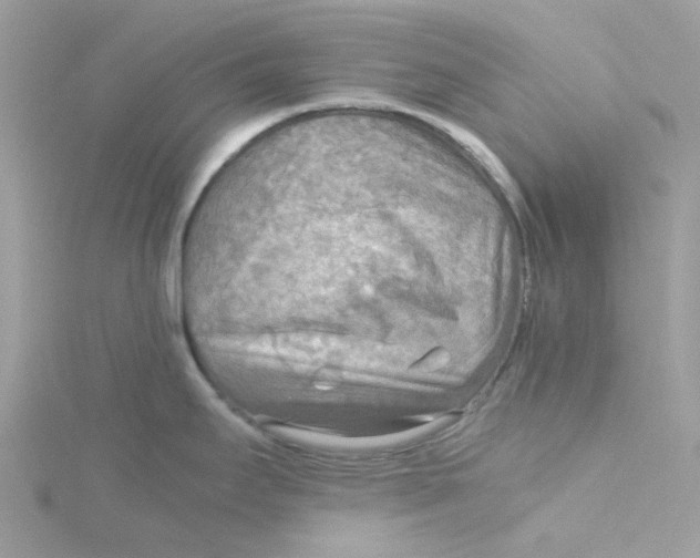 X0000115191295200911181440