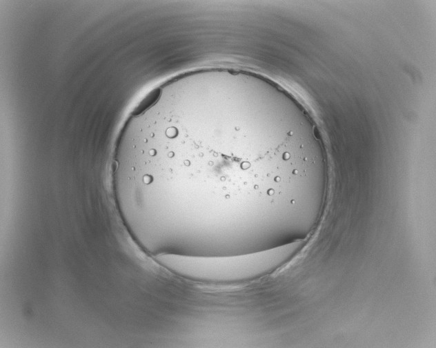 X0000115191296200911181440