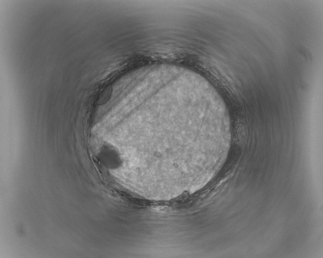 X0000115191297200911181439