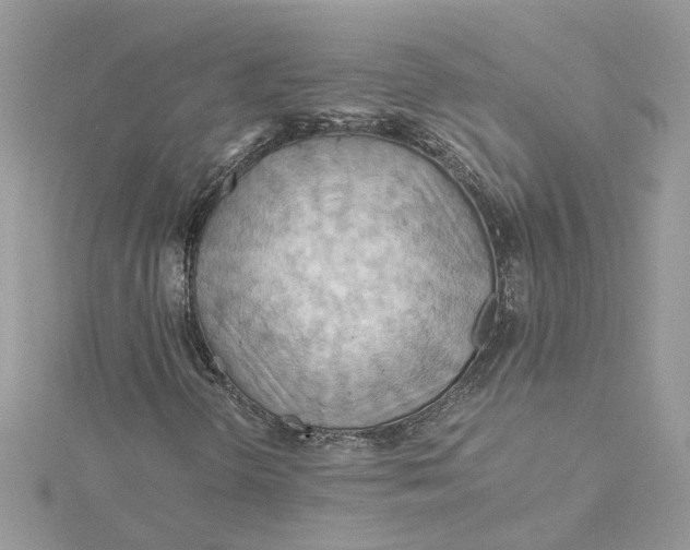 X0000115191298200911181439