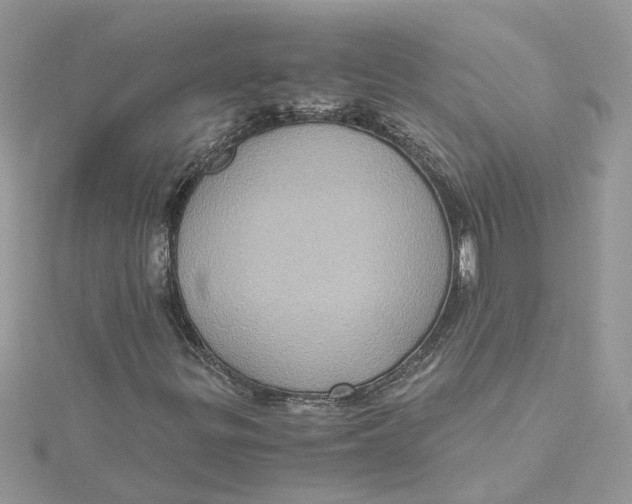 X0000115191299200911181439