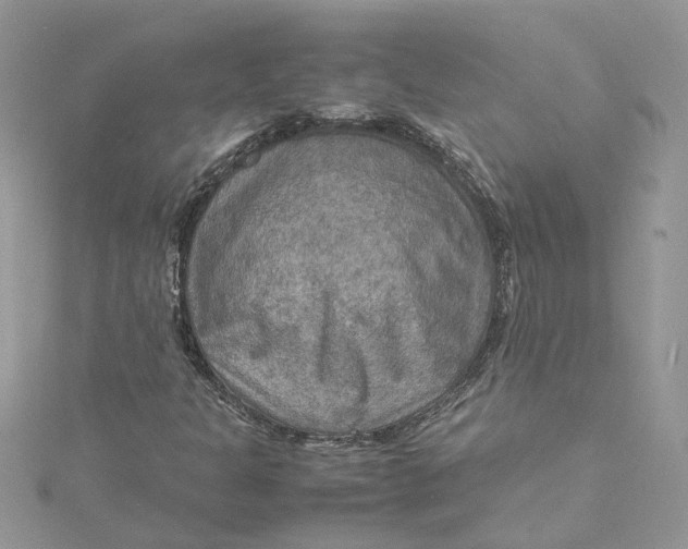 X0000115191301200911181439