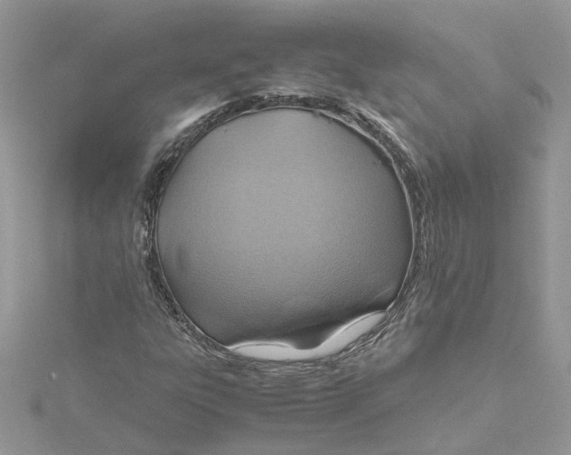 X0000115191303200911181440