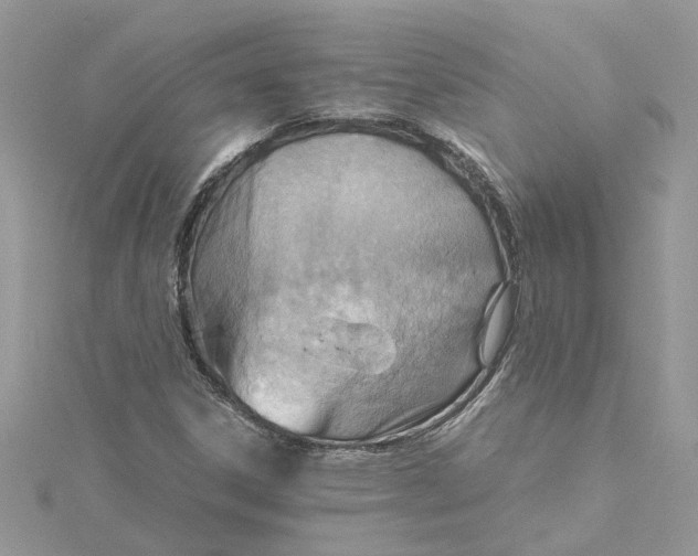 X0000115191306200911181440