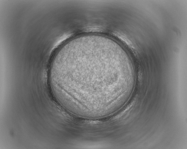 X0000115191309200911181440