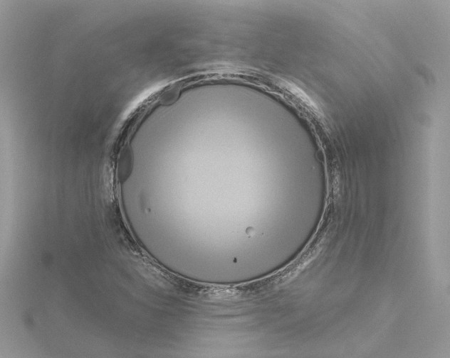 X0000115191310200911181440