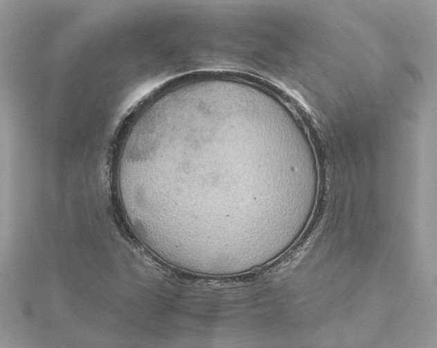 X0000115191311200911181440