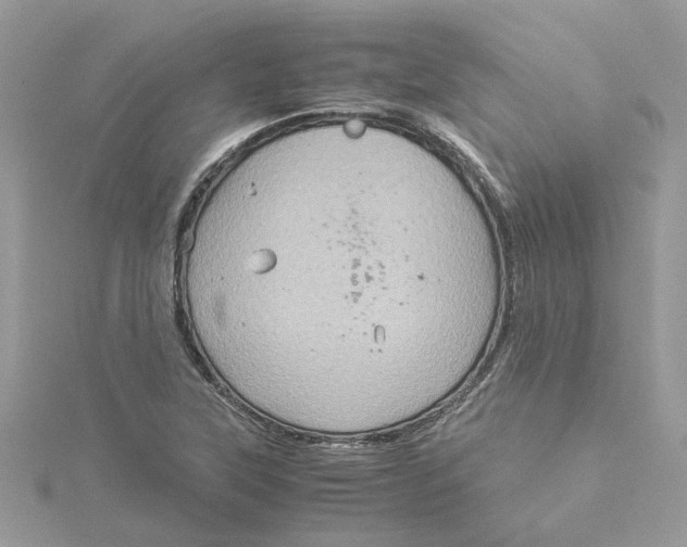 X0000115191315200911181440