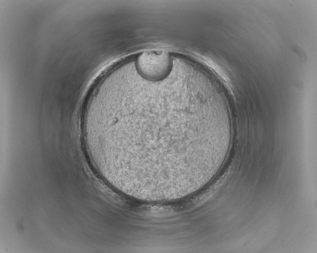 X0000115191318200911181440