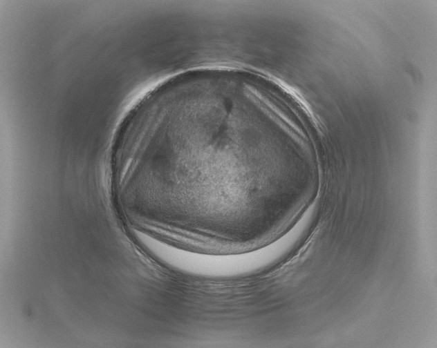 X0000115191319200911181440