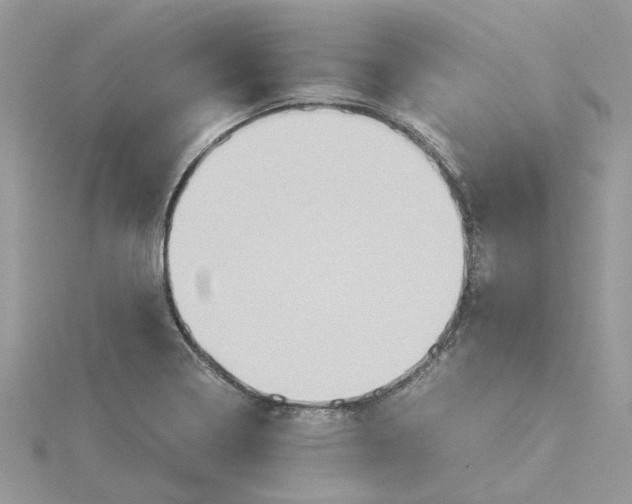 X0000115191322200911181440