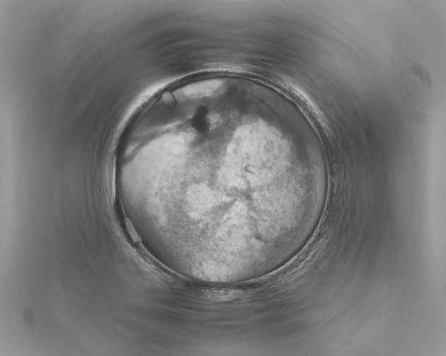 X0000115191323200911181440