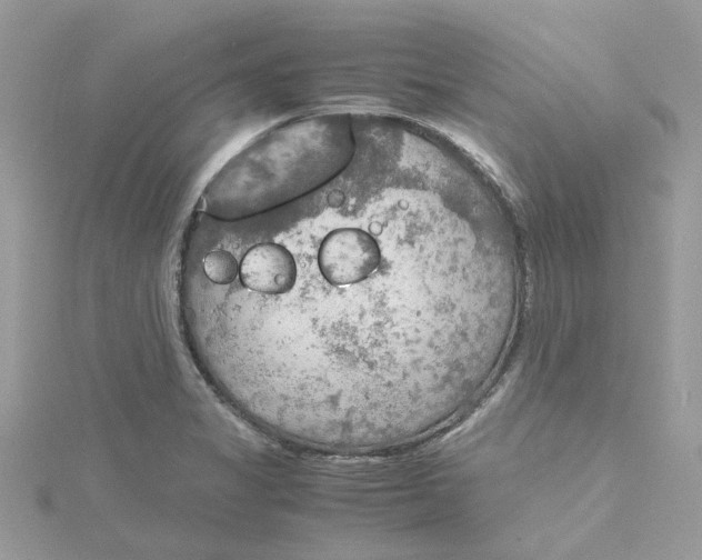 X0000115191325200911181440