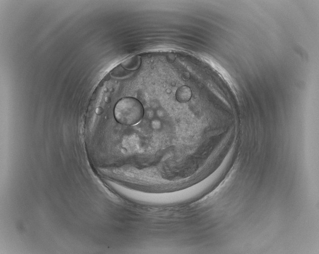 X0000115191329200911181440