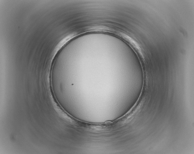 X0000115191330200911181440