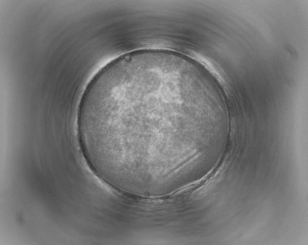 X0000115191331200911181440