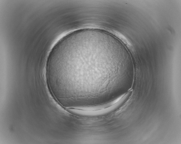 X0000115191334200911181440