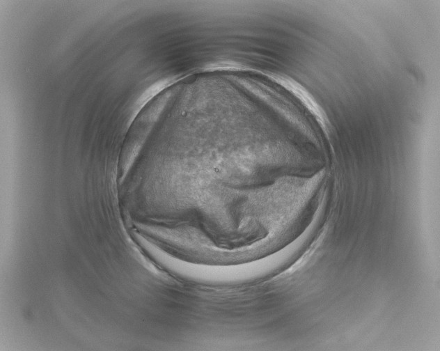 X0000115191337200911181440