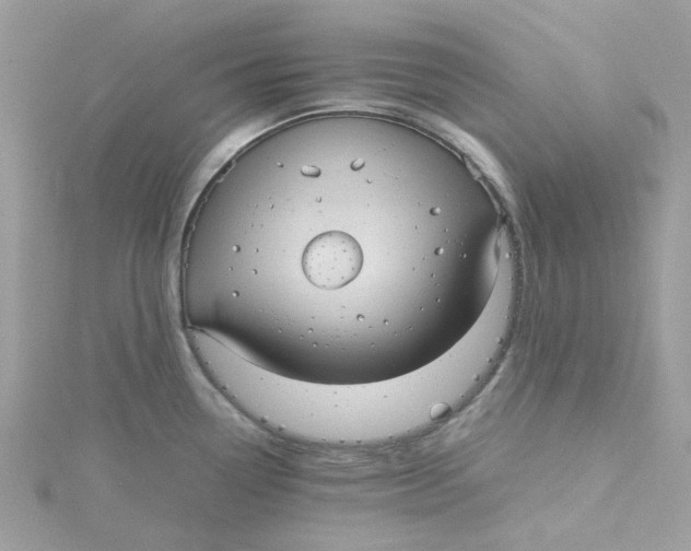 X0000115191338200911181440