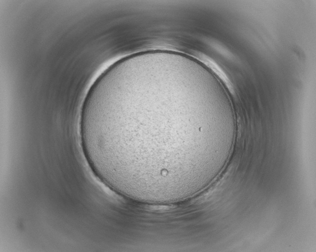 X0000115191339200911181440