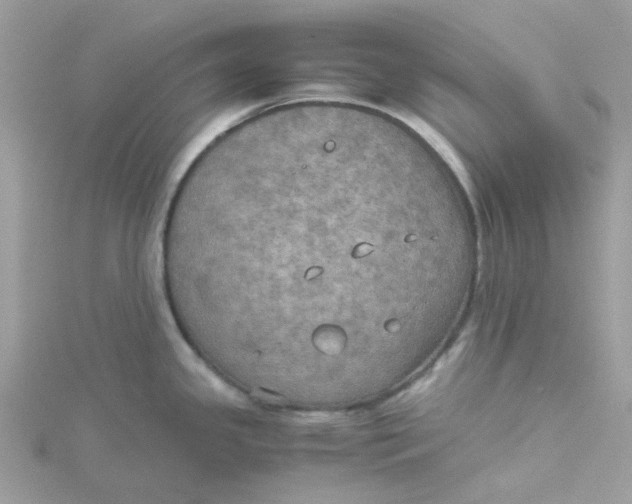 X0000115191341200911181440