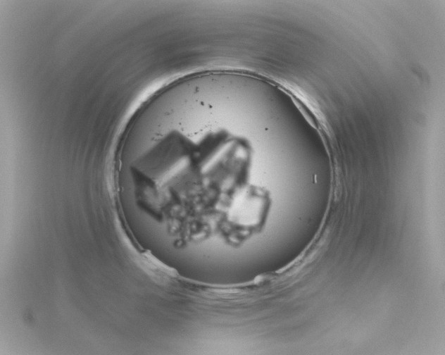 X0000115191342200911181440