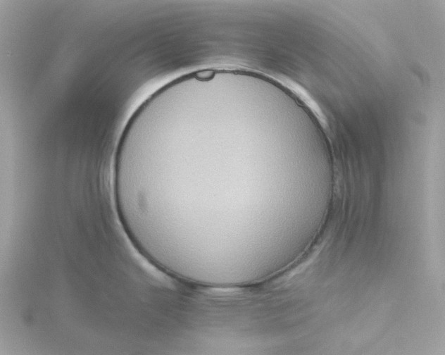 X0000115191343200911181440