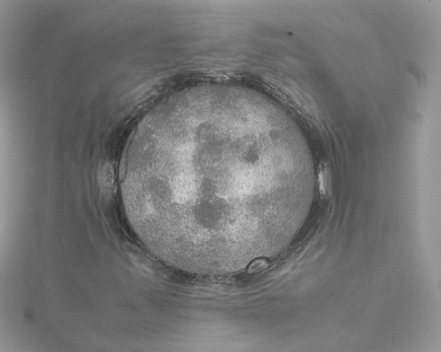 X0000115191347200911181439