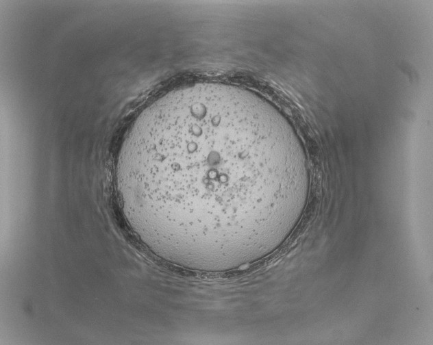 X0000115191349200911181439