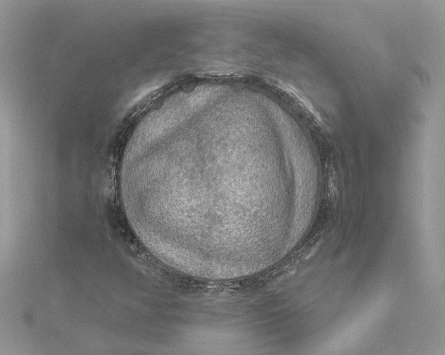 X0000115191350200911181439