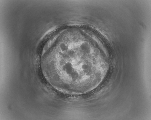 X0000115191351200911181439