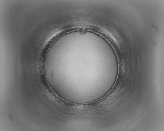 X0000115191352200911181439