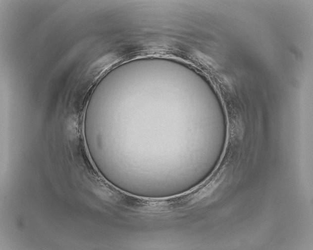 X0000115191353200911181439