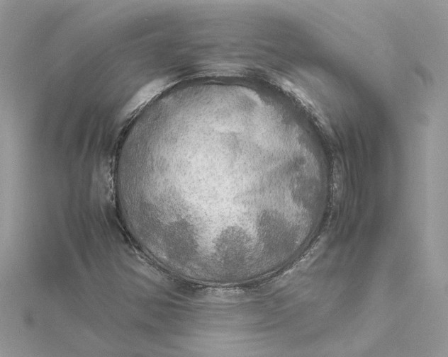 X0000115191354200911181439