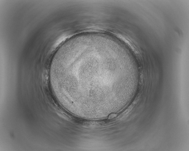 X0000115191355200911181439