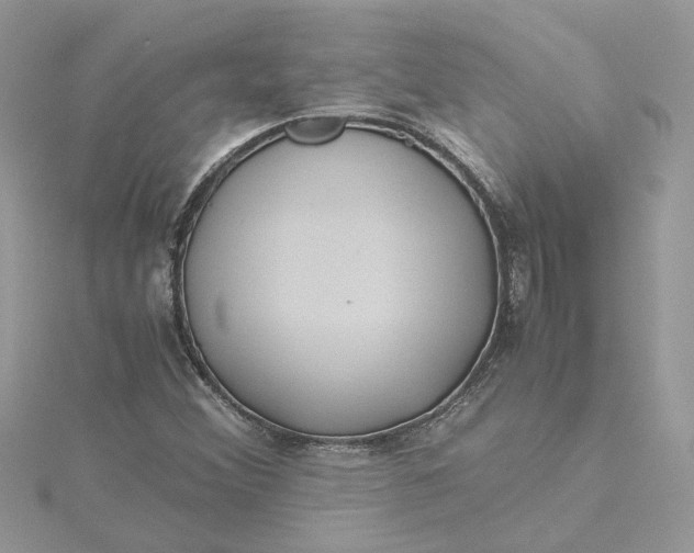 X0000115191356200911181439