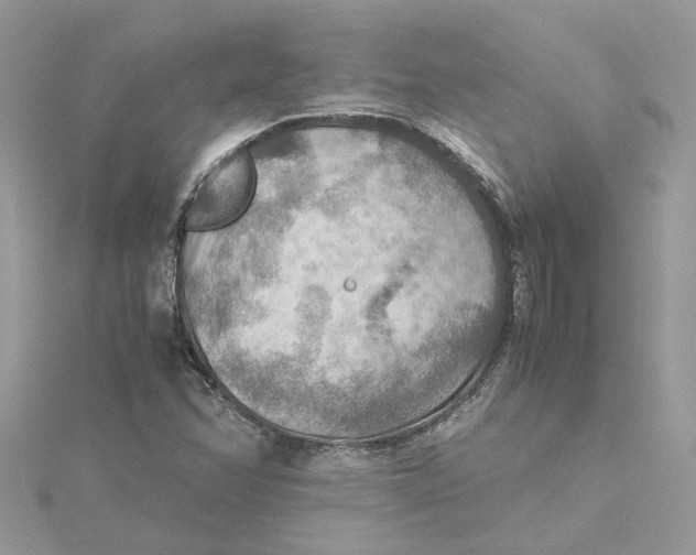 X0000115191358200911181439