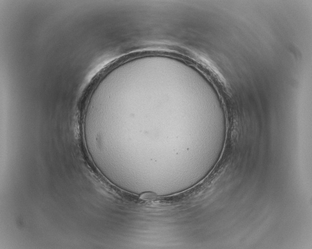 X0000115191360200911181439