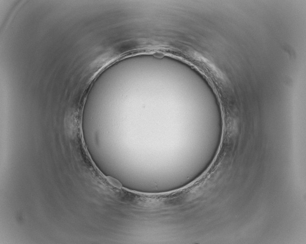 X0000115191361200911181439