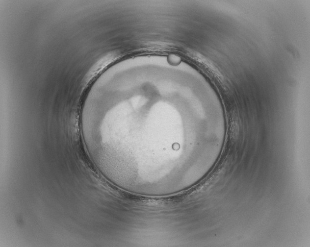 X0000115191362200911181439