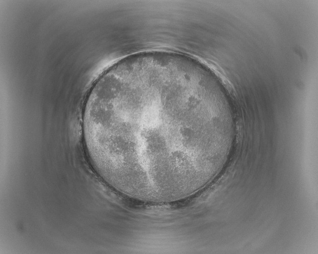 X0000115191363200911181439