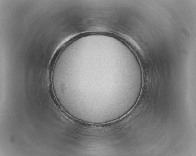 X0000115191364200911181439