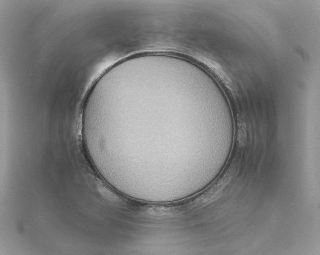 X0000115191366200911181439