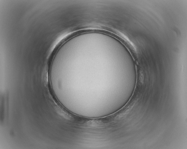 X0000115191368200911181439