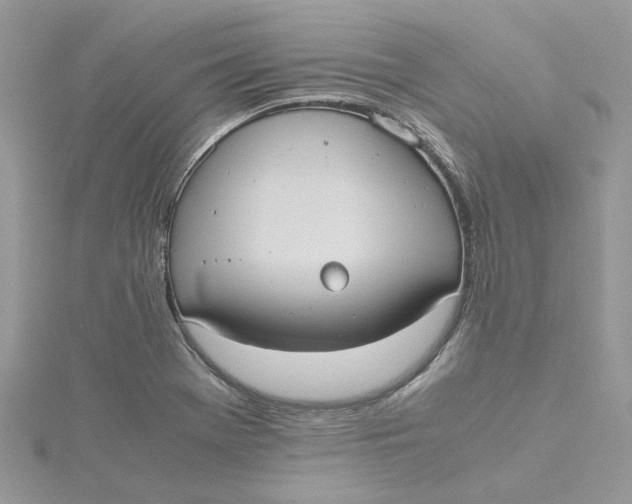 X0000115191369200911181439