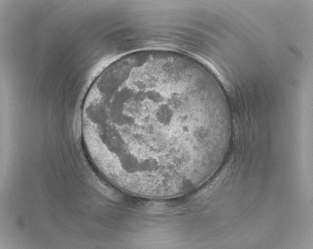 X0000115191371200911181439