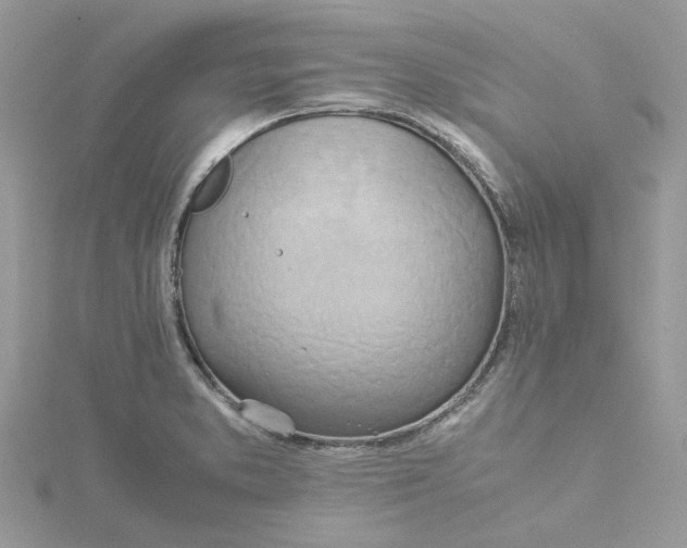 X0000115191373200911181439