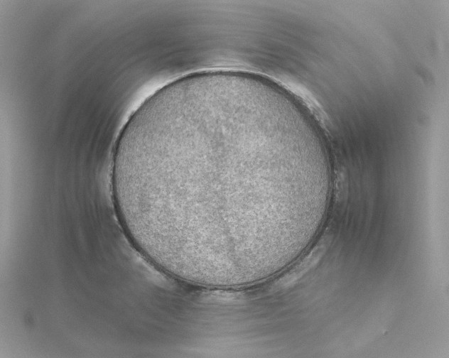 X0000115191374200911181439