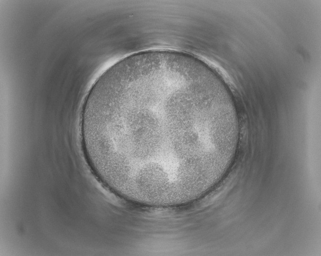 X0000115191375200911181439