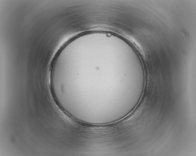 X0000115191376200911181439